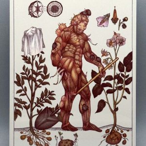 Плитка керамическая