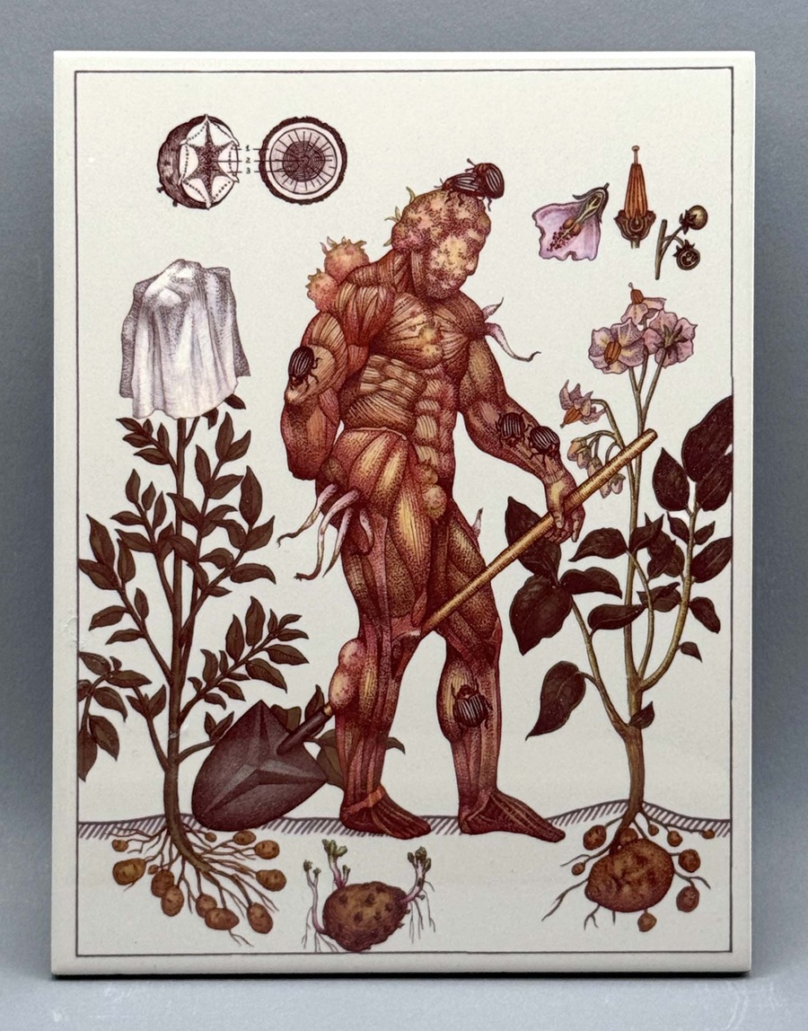 Плитка керамическая