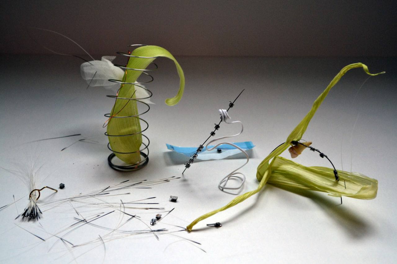 Натюрморт с вибриссами