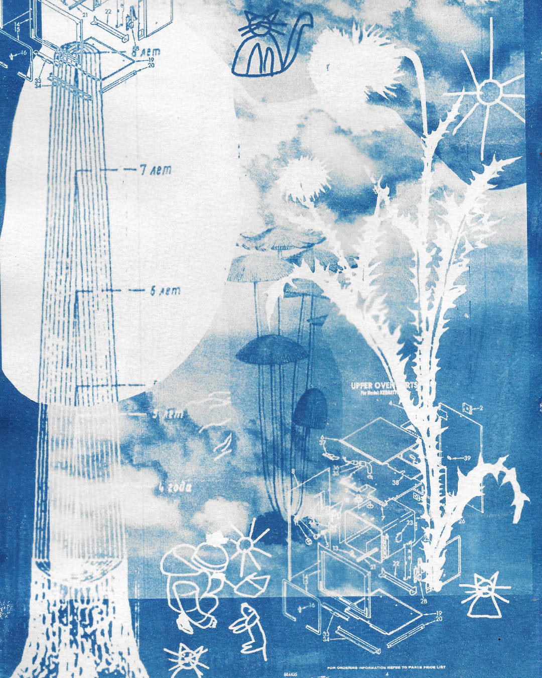 Из серии «Место встречи. Лес»