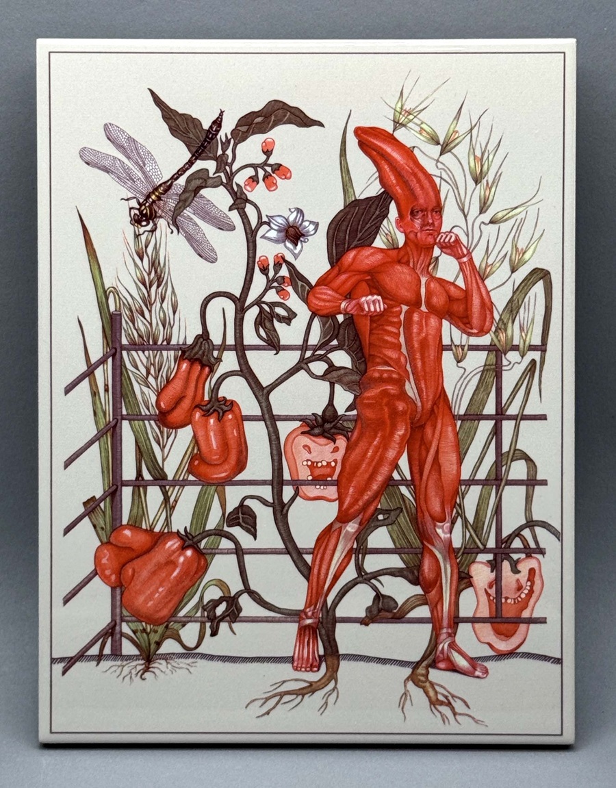 Плитка керамическая