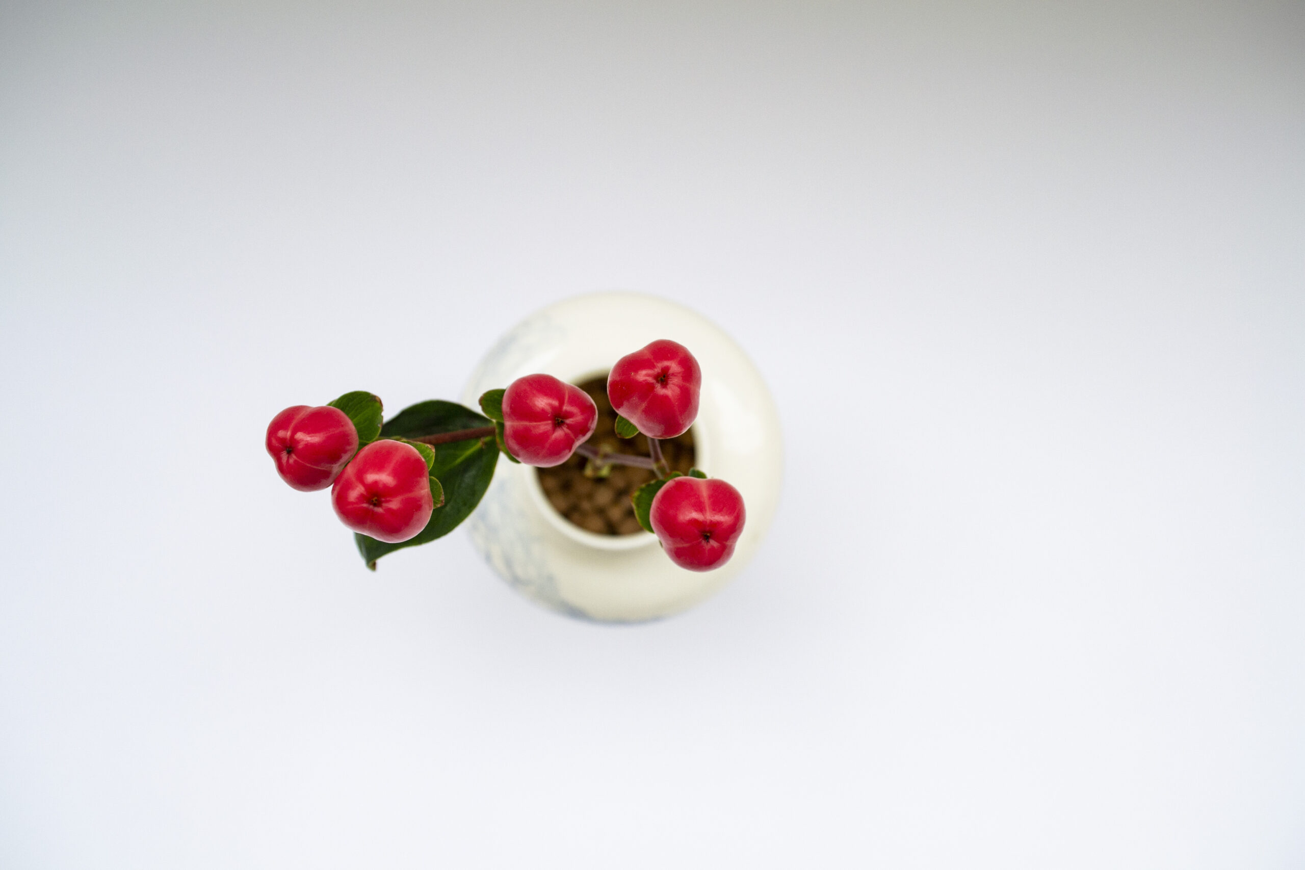 Ваза №2. «Густая трава»