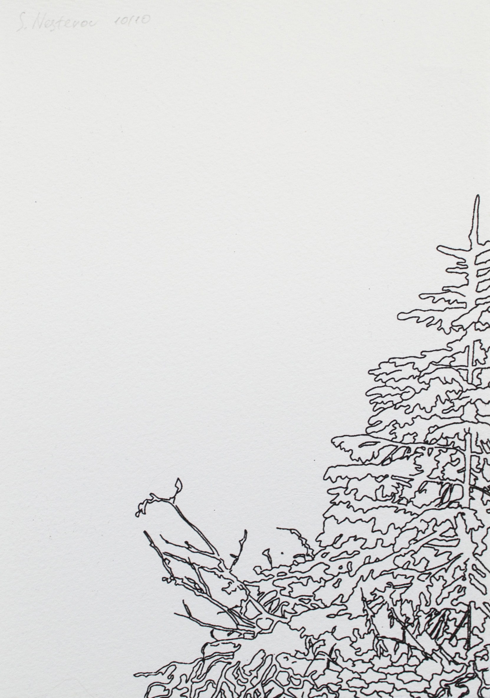 Без названия