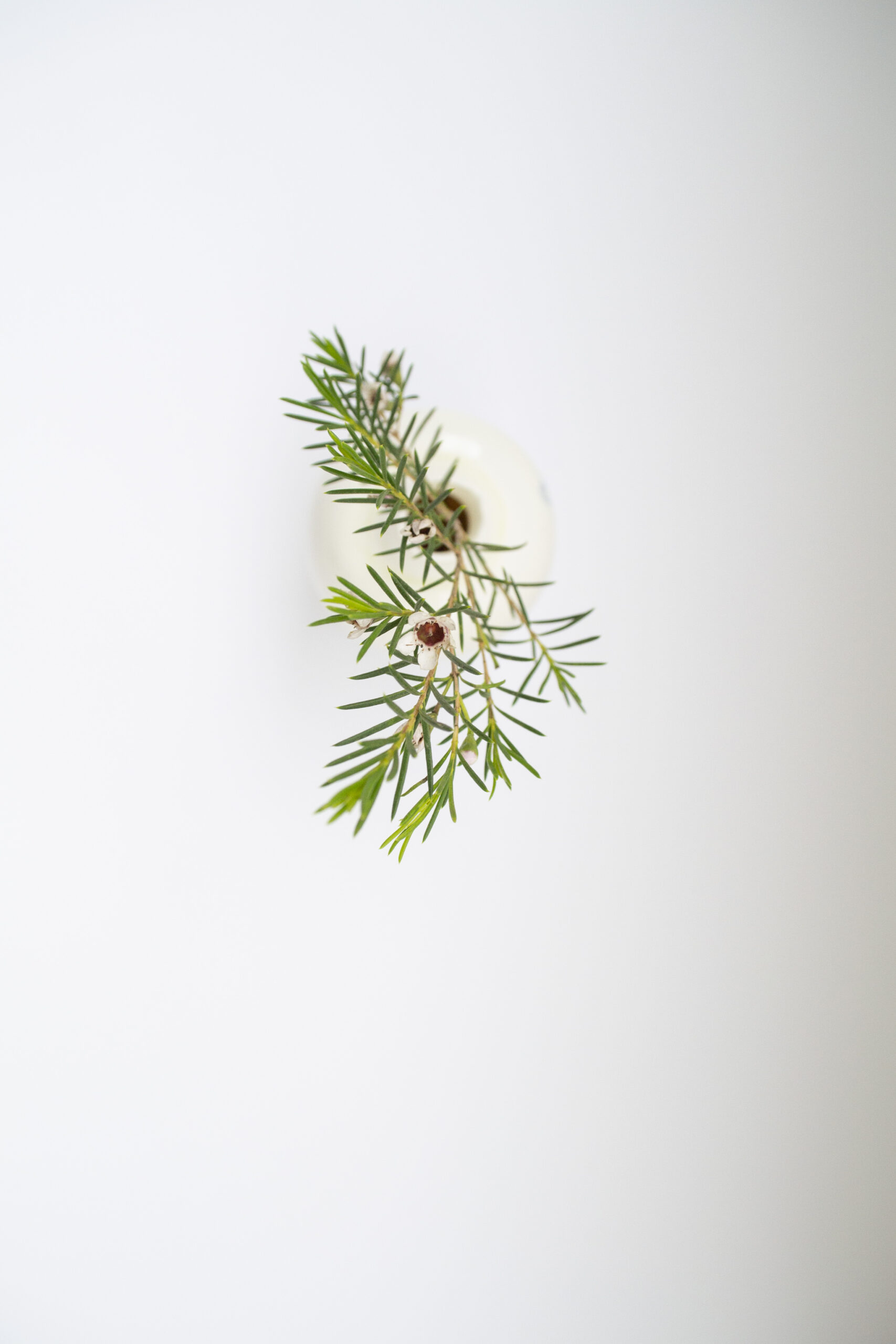 Ваза №1. «Праздничное настроение»