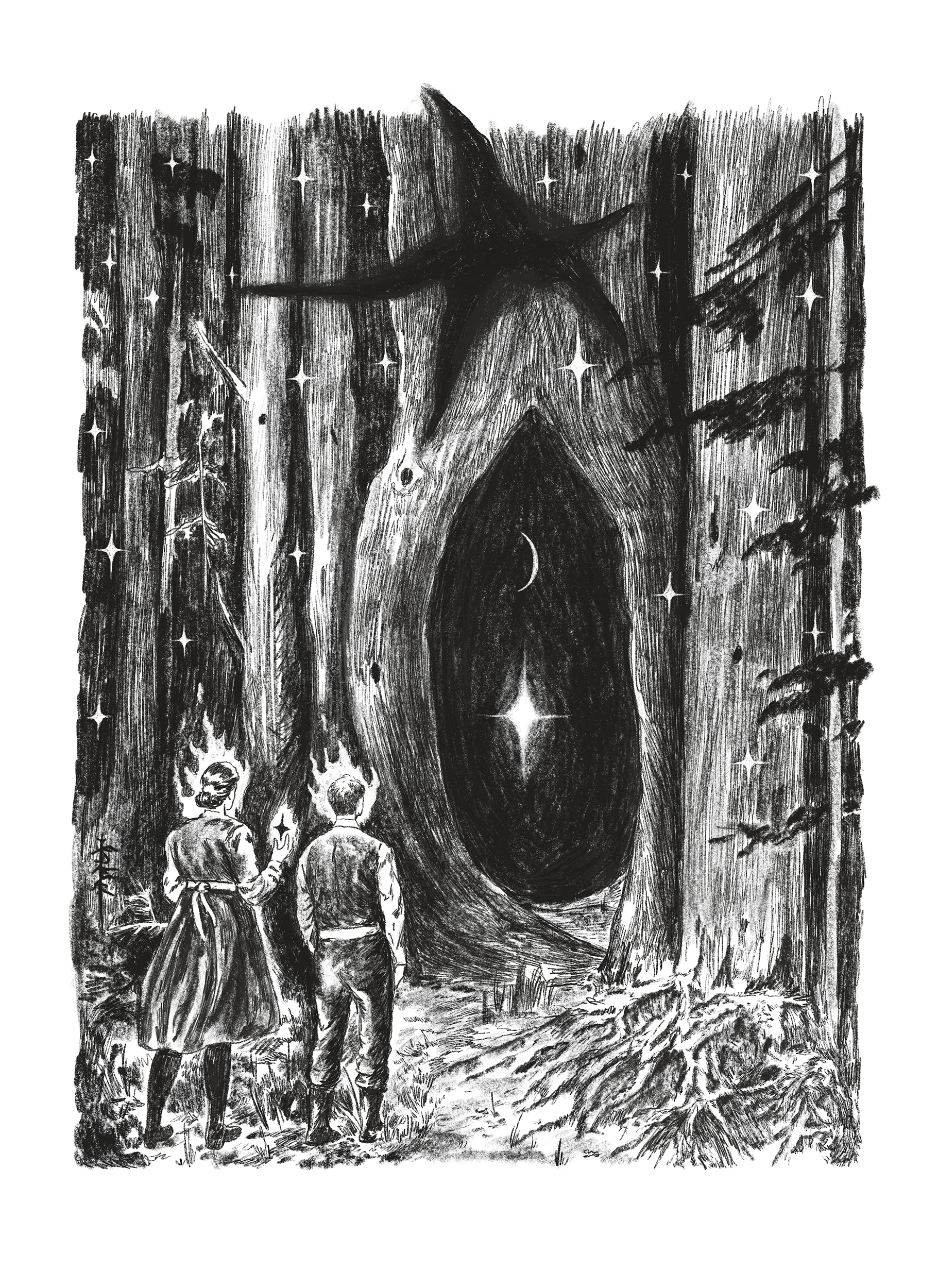 В поисках звезды