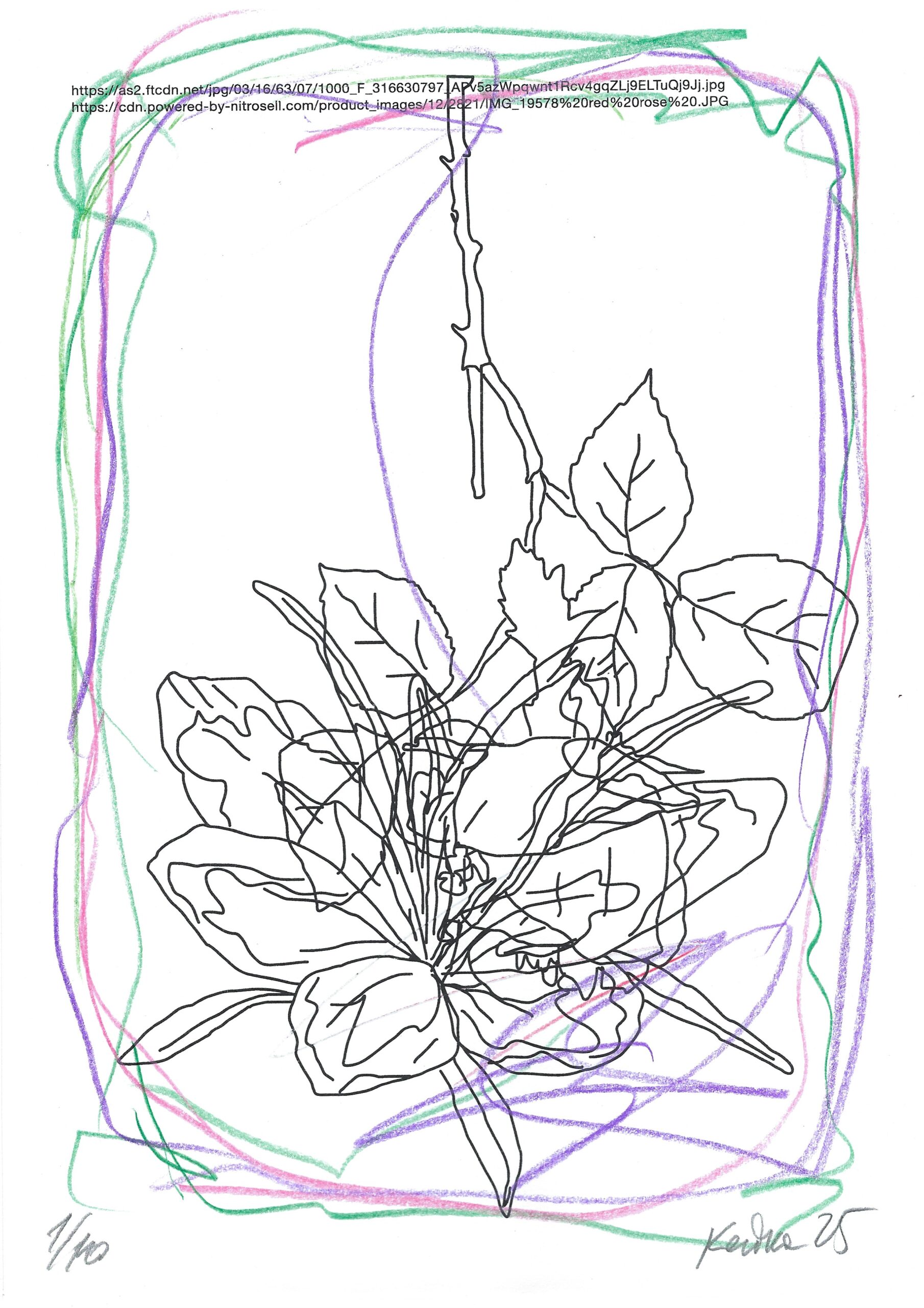 Цветочный букет