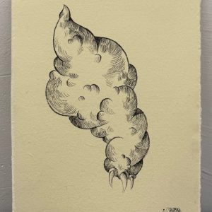 Лапка Облако, 2