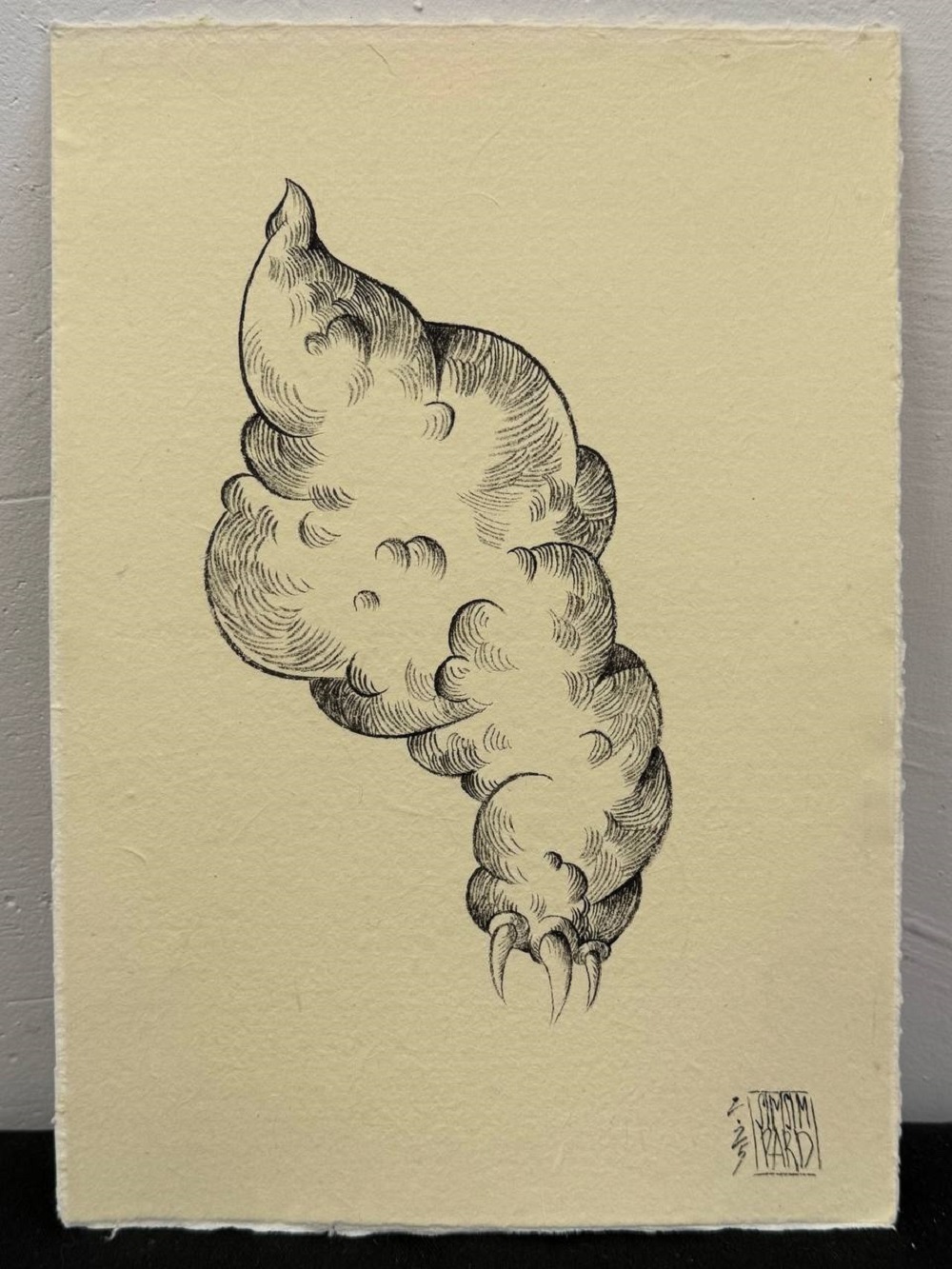 Лапка Облако, 2