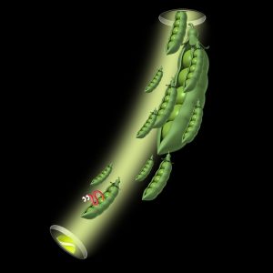 «Горох с червяком» из серии «Горизонт событий»