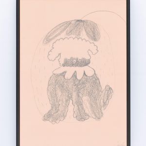 «Клубника» из серии «Пушистые собачки