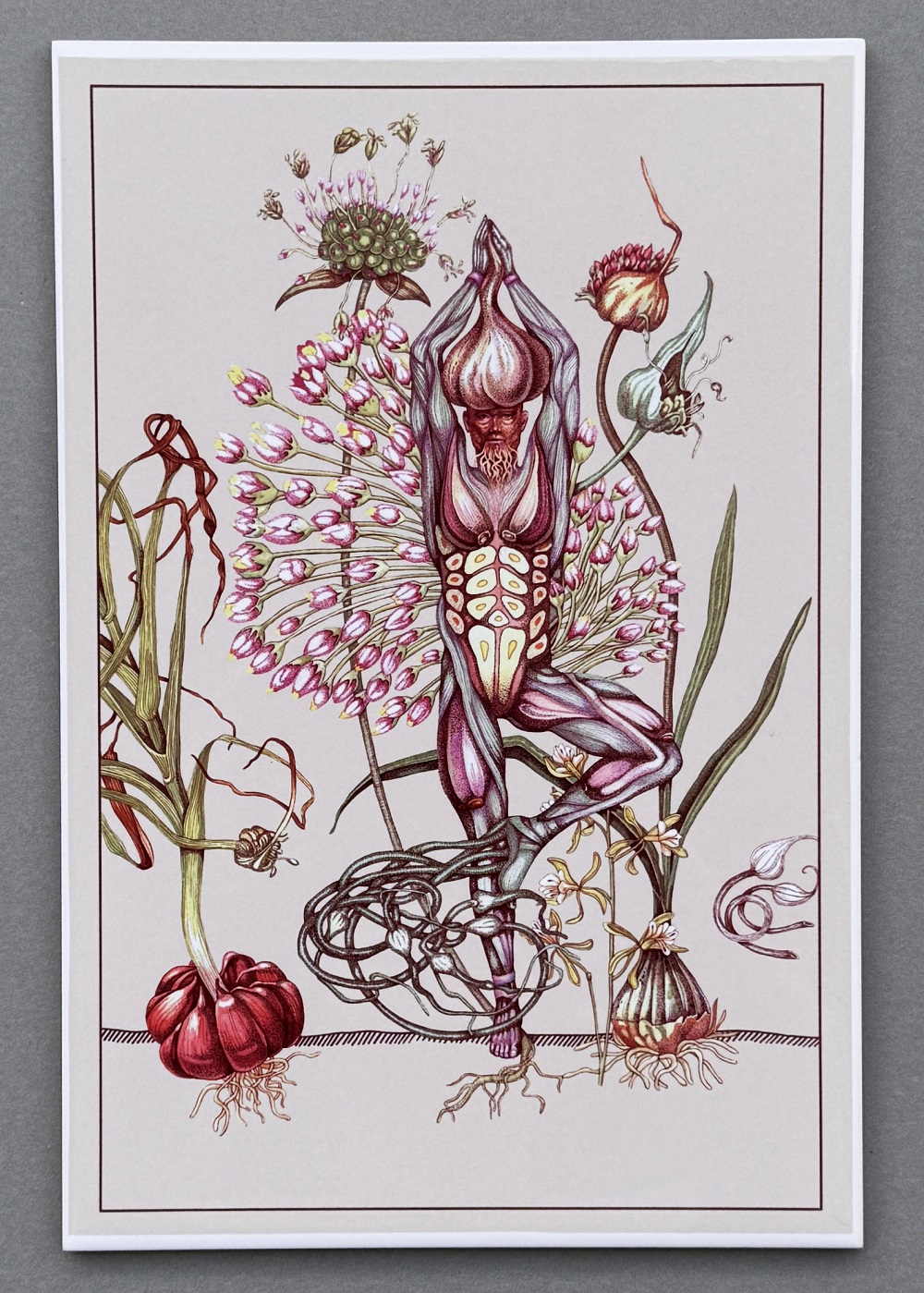 «Чеснок». Из серии «Вести из ниоткуда»