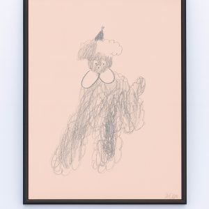 «Храбрый» из серии «Пушистые собачки»