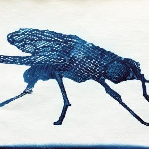 Муха #3