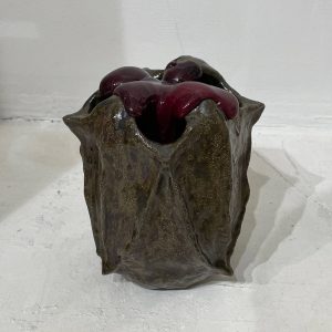 Багровый сосуд