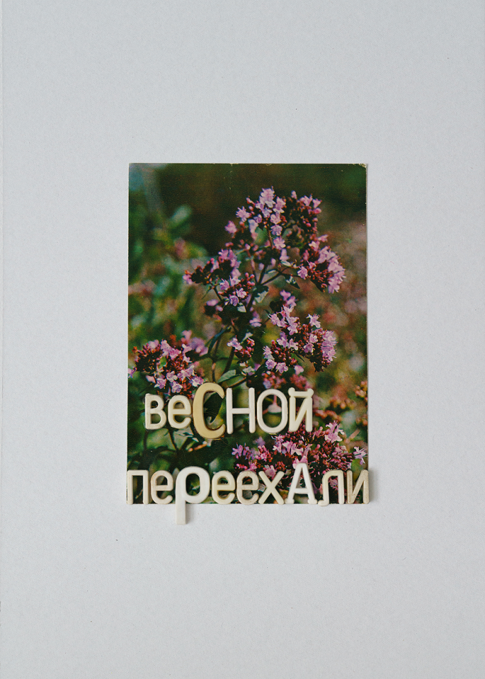 Серия «Зелёная аптека»