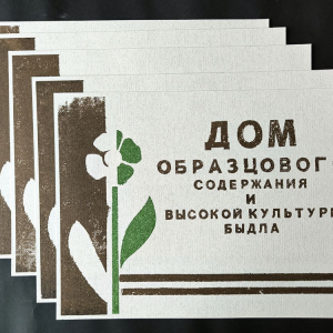 Дом образцового содержания