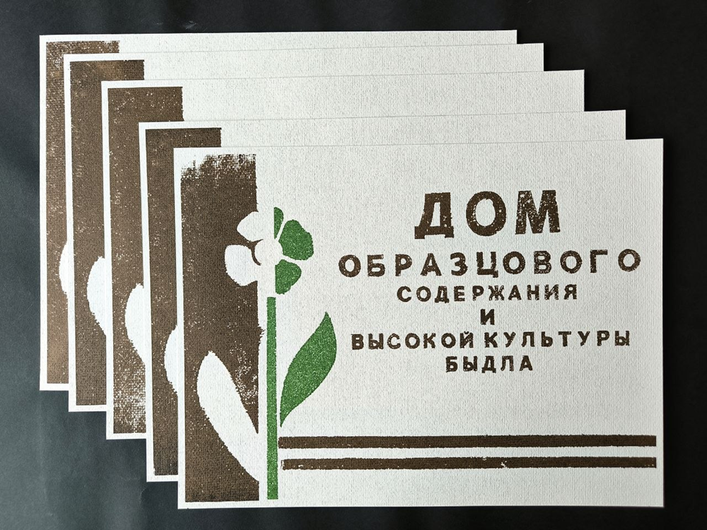 Дом образцового содержания